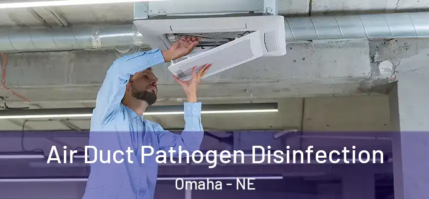 Air Duct Pathogen Disinfection Omaha - NE