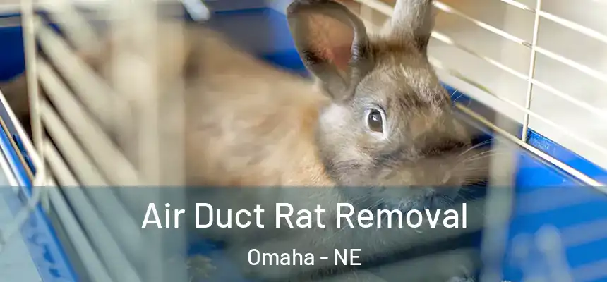 Air Duct Rat Removal Omaha - NE