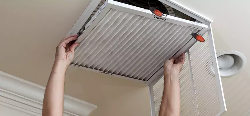 Preventive Cockroach-Proofing for Ducts in Omaha