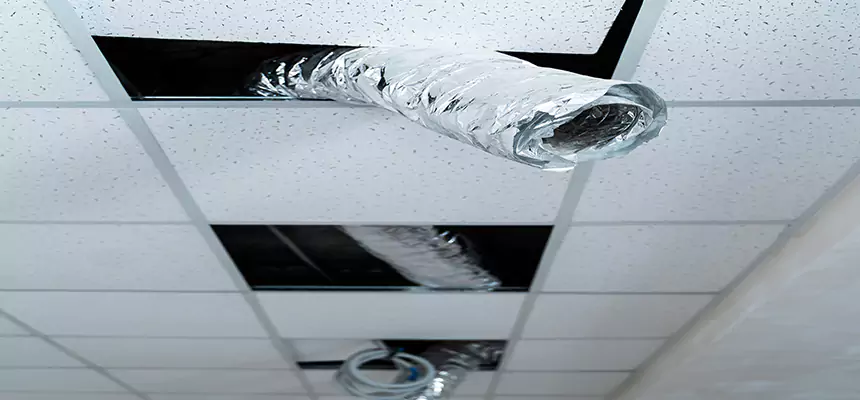 Affordable HVAC Sanitizing After Pest Removal in Omaha