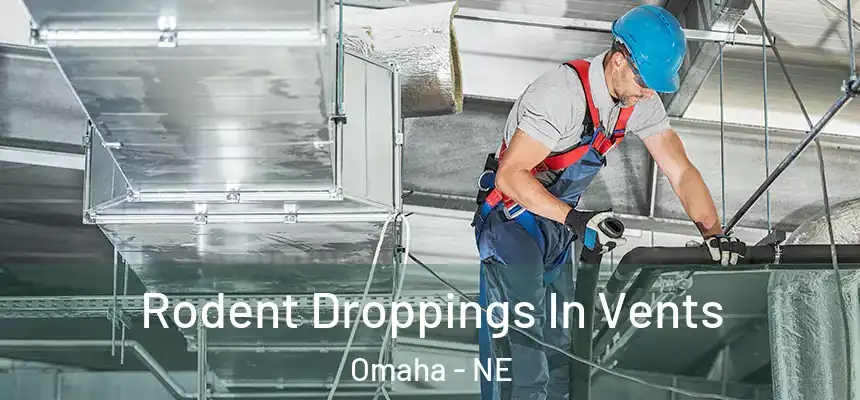 Rodent Droppings In Vents Omaha - NE