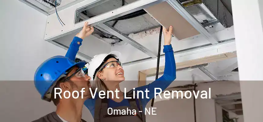Roof Vent Lint Removal Omaha - NE