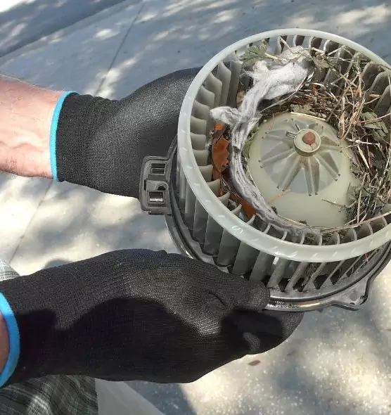 About Air Duct Rat Removal in Omaha, NE