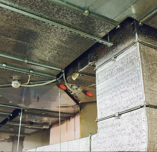 Why Homeowners & Businesses Trust Us in Omaha, NE?