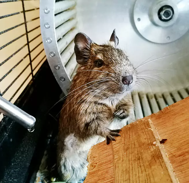 Why Homeowners & Businesses Trust Us Omaha, NE